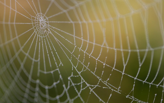 Freelance web development illustration